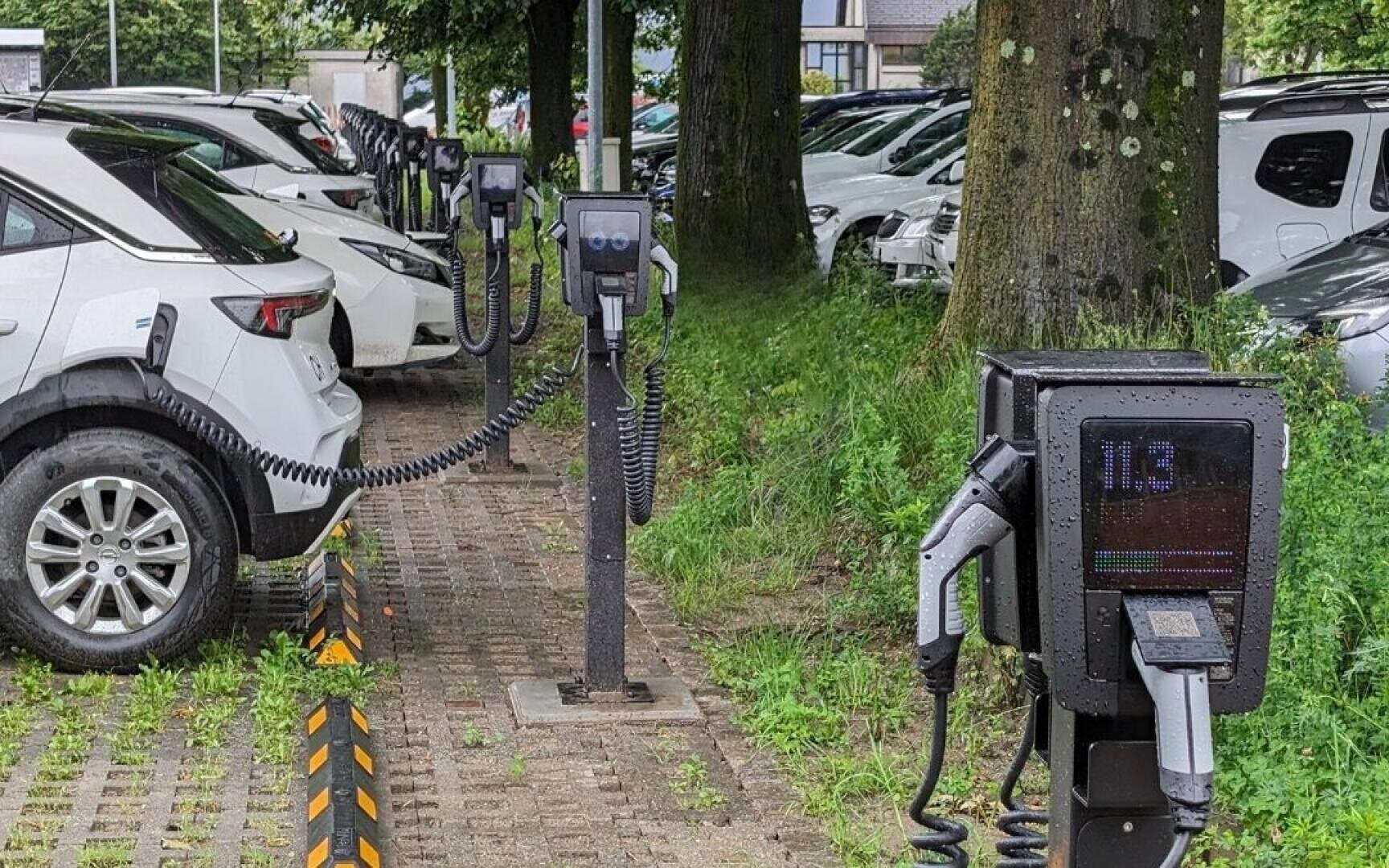 Reihen von geparkten Autos neben Bäumen, mit mehreren Ladestationen für Elektrofahrzeuge und angeschlossenen Ladekabeln am Rande des Parkplatzes. Einige Ladestationen sind vom Regen nass.